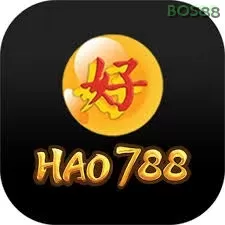 Ikon hao788